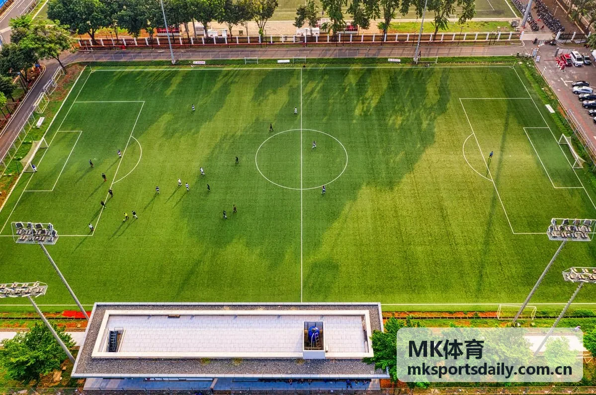 MK体育数据分析相关推荐封面